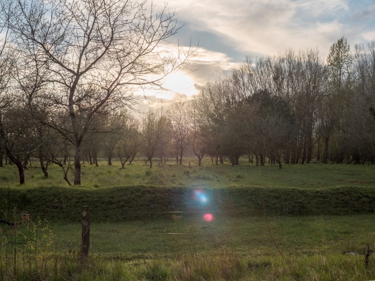 Bogensee Berlin Brandenburg (14).jpg